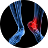 Foot and Ankle-img
